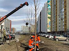 Троицк и Верхний Уфалей озеленят на выделенные Алексеем Текслером миллионы