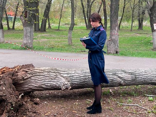 Состояние пострадавшей при падении дерева в Самаре девочки стабильно среднетяжелое
