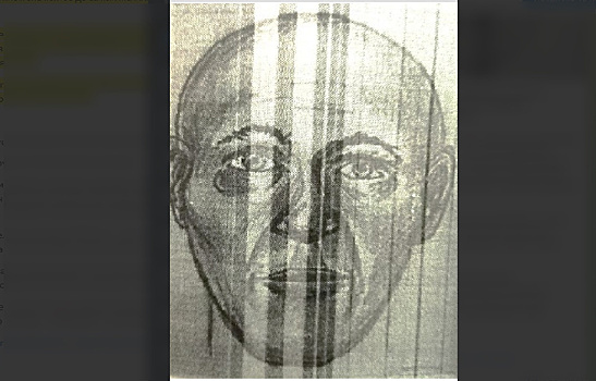 В Приамурье устанавливают личность мужчины, чей скелет был найден в реке