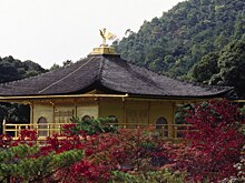 Названы самые популярные страны для отдыха в бархатный сезон