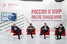 Владимир Мау: В России необходимо создать инфраструктуру дистанционного образования