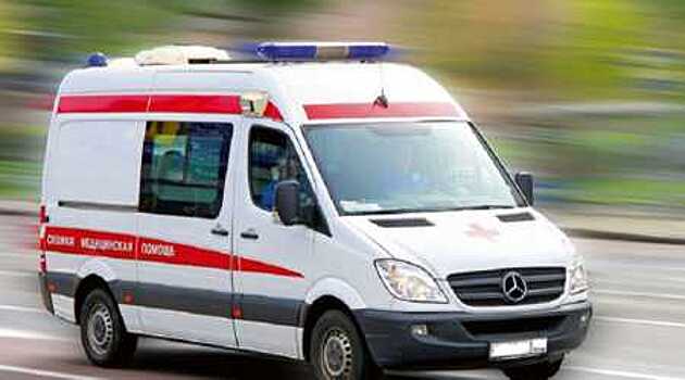 Грузовик и автобус столкнулись на трассе "Петербург - Москва": двое погибших, девять пострадавших