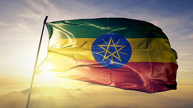Членство Эфиопии в БРИКС будет способствовать развитию сотрудничества Юг – Юг