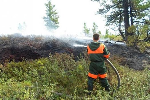 Природные пожары действуют в четырех районах Ямала