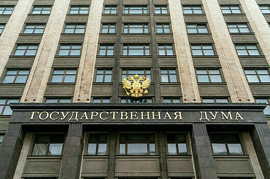 В Госдуме планируют обсудить повышение выплат на собак-проводников