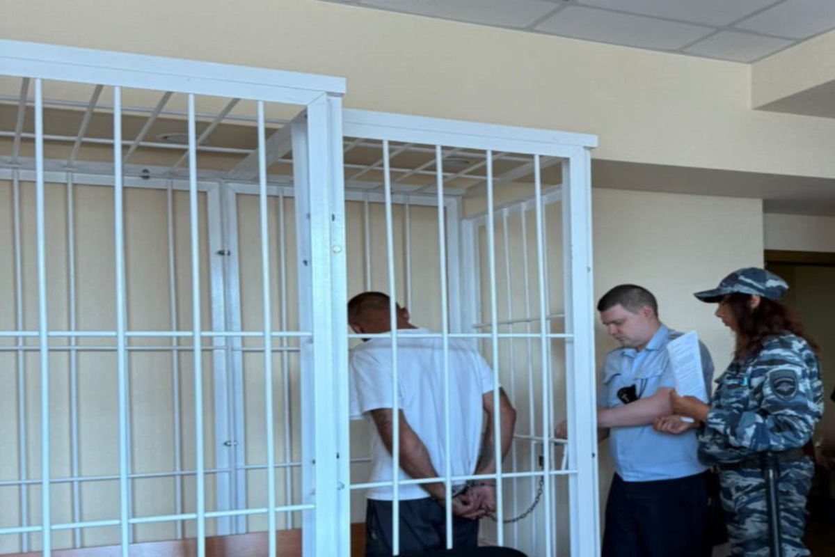 В Новосибирске арестовали водителя, наехавшего на голову загоравшей у реки женщины