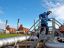 Во Франции приготовились к «смерти Европы» без российского газа