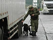Камеры докажут, что таможня мзду не берет