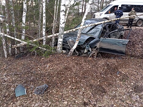Вылетевший в кювет на "Ауди" водитель был пьян