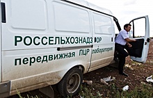 В Крыму уничтожили санкционные овощи из Европы