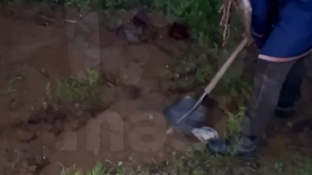 Силовики прервали обряд с погребением заживо под Петербургом