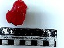 В СИЗО-2 ГУФСИН России по Челябинской области пресечена попытка доставки на режимную территорию запрещенных веществ