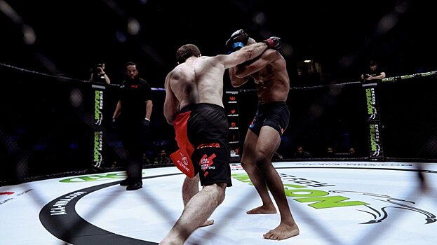 Результаты UFC Fight Night 233