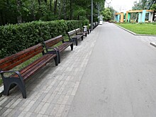 Бесплатный аудиогид сопроводит отдыхающих в парке «Кузьминки»