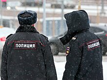 Полиция обнаружила пистолет в туалете ресторана в центре Москвы