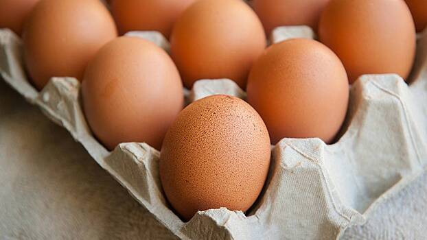 Что такое синтетические яйца и чем они опасны