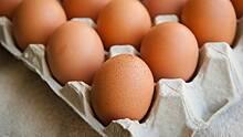 Что такое синтетические яйца и чем они опасны