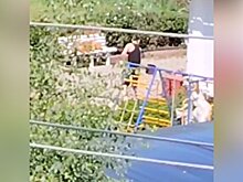 Тигренка могут забрать у семьи из частного дома в Подмосковье
