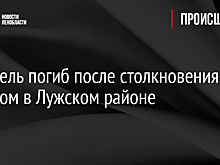 Водитель погиб после столкновения с деревом в Лужском районе