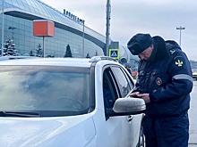 В Москве у аэропортов поймали 360 нелегальных такси