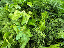 Названы продукты, в которых больше всего витамина А