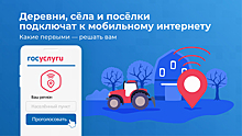 Россиянам разрешили голосовать за проведение 4G в деревни и поселки