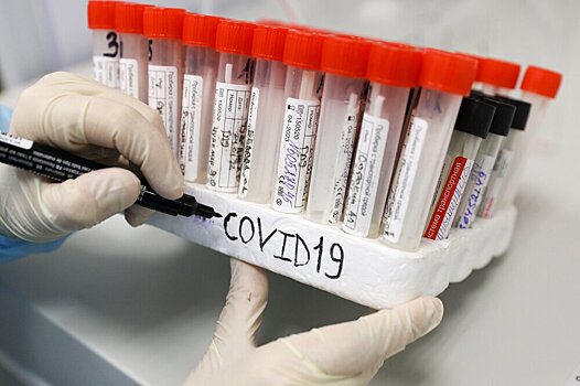 Роспотребнадзор призвал «соблюдать этикет» для защиты от COVID и гриппа