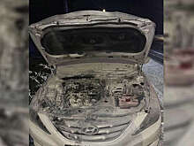 В Краснодарском крае авто вспыхнуло на глазах у инспекторов ДПС и попало на видео