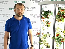 «Захотелось клубнички»: южноуралец придумал, как выращивать в квартире ягоды круглый год