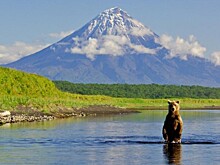 На востоке Камчатки произошло землетрясение магнитудой 6,6