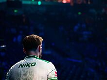 NiKo описал тиммейтов в Counter-Strike 2