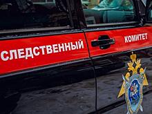 Глава СК РФ Бастрыкин взял на личный контроль 27 дел из Новосибирской области