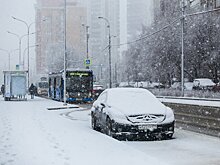 Жителей Москвы предупредили о снегопаде и гололедице 16 февраля