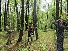 Вологодчина - один из лучших регионов страны по охране лесов