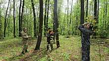 Вологодчина - один из лучших регионов страны по охране лесов