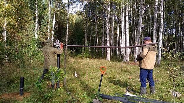 Экологическая тропа «Летопись природы» появится в Дарвинском заповеднике