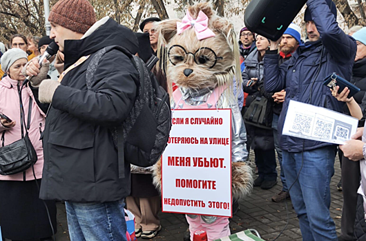 Митинг против эвтаназии бездомных собак состоится в Новосибирске