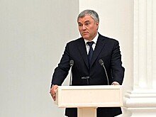 Володин: Зеленскому мир не нужен, он преступно уходит от переговоров