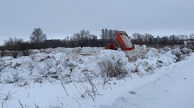 С «Пензавтодора» требуют 330 млн за свалку снега в Арбековском лесу