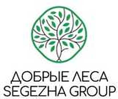 Segezha Group объявляет о старте грантового конкурса «Добрые леса Segezha Group»