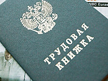 Россияне высказали отношение к электронной трудовой