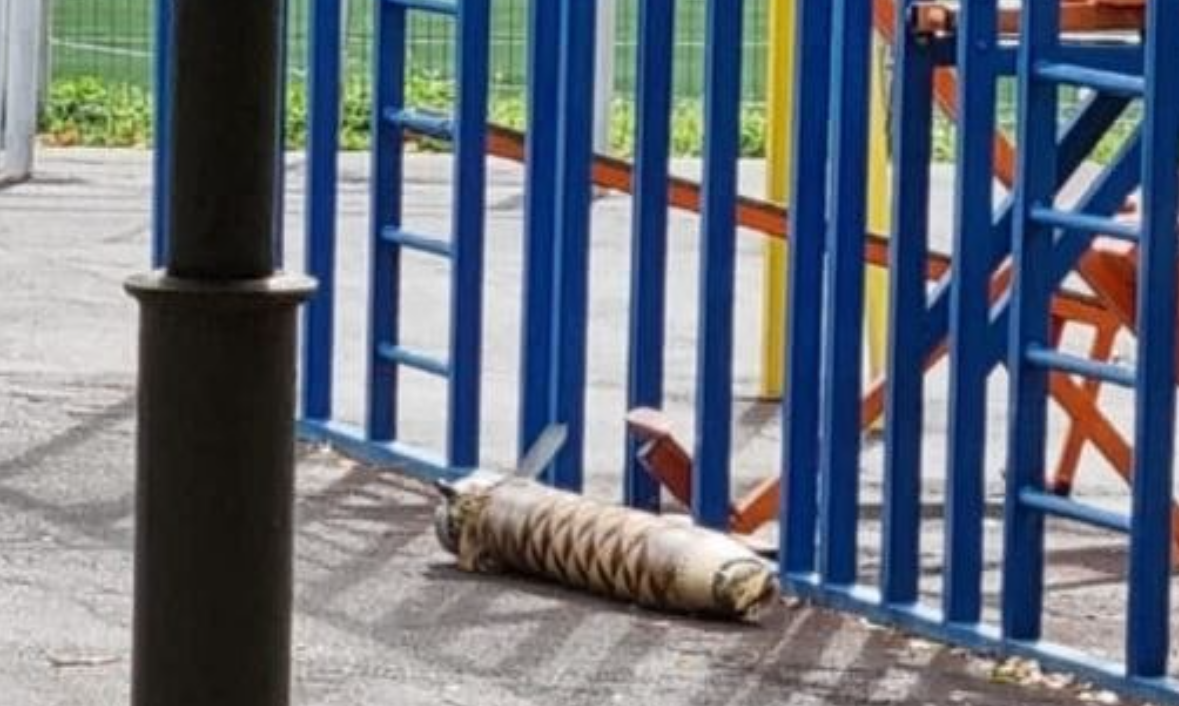 Белгородский губернатор заявил о падении ракеты на территорию школы