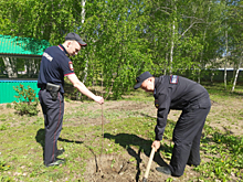 В Оренбургской области сотрудники полиции высадили деревья в память о погибших в годы Великой Отечественной войны