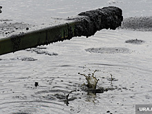 В Березниках обратили внимание на опасные свалки с химотходами. Проблема не решалась годами