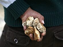 Полицейские поймали мценских хулиганов, закидавших электричку камнями
