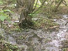 На Ставрополье наказали бизнесмена, затопившего Татарское городище