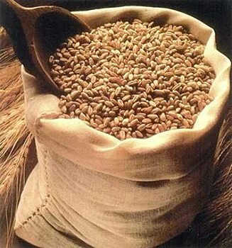 После протестов аграриев Польши Киев и Варшава готовятся подписать собственное зерновое соглашение