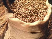 После протестов аграриев Польши Киев и Варшава готовятся подписать собственное зерновое соглашение