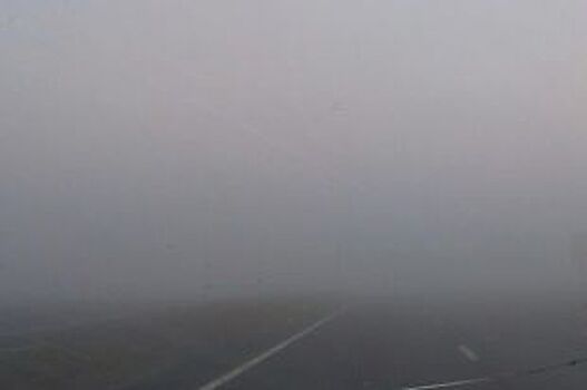ГИБДД предупреждает о сильном тумане на донских дорогах