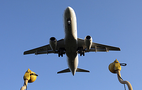 В лесу в Подмосковье упал и взорвался самолет